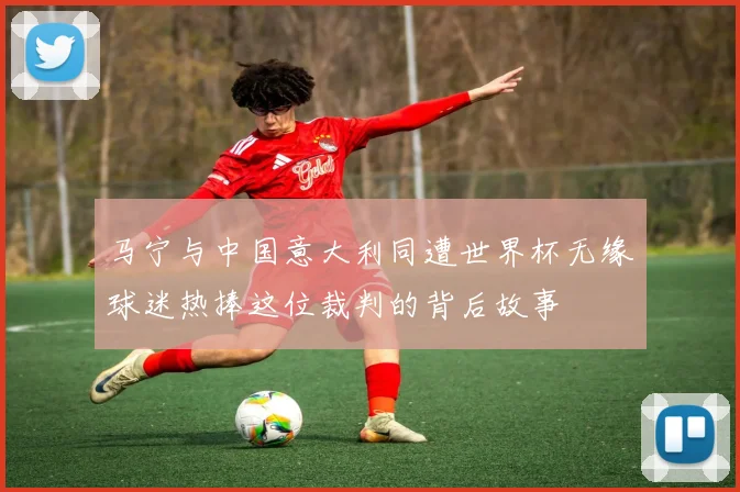马宁与中国意大利同遭世界杯无缘球迷热捧这位裁判的背后故事