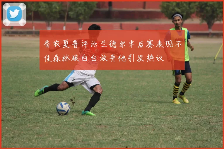 香农夏普评论兰德尔季后赛表现不佳森林狼白白放弃他引发热议