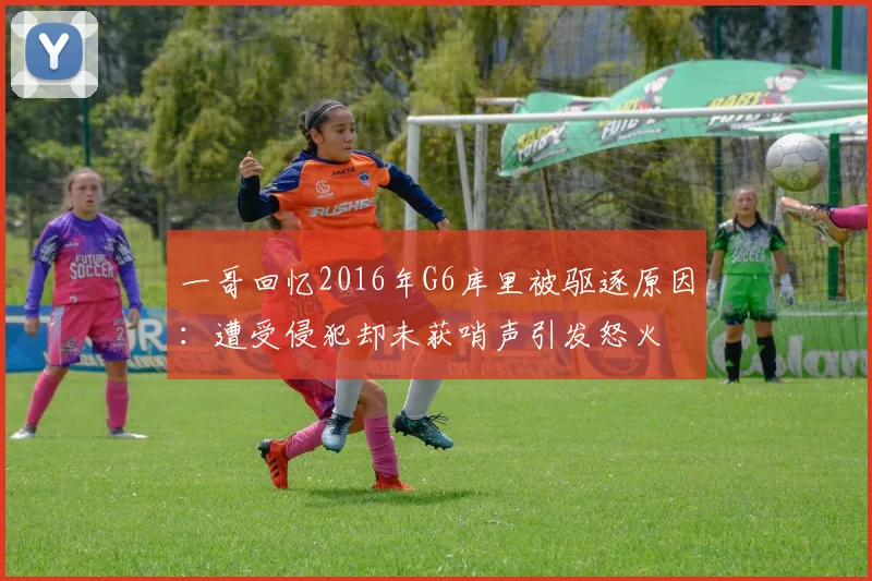 一哥回忆2016年G6库里被驱逐原因：遭受侵犯却未获哨声引发怒火